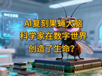 �w��ȤՄ����ʮ������AI��(f��)�̹�ω���X���ƌW(xu��)���ڔ�(sh��)�����焓(chu��ng)����������